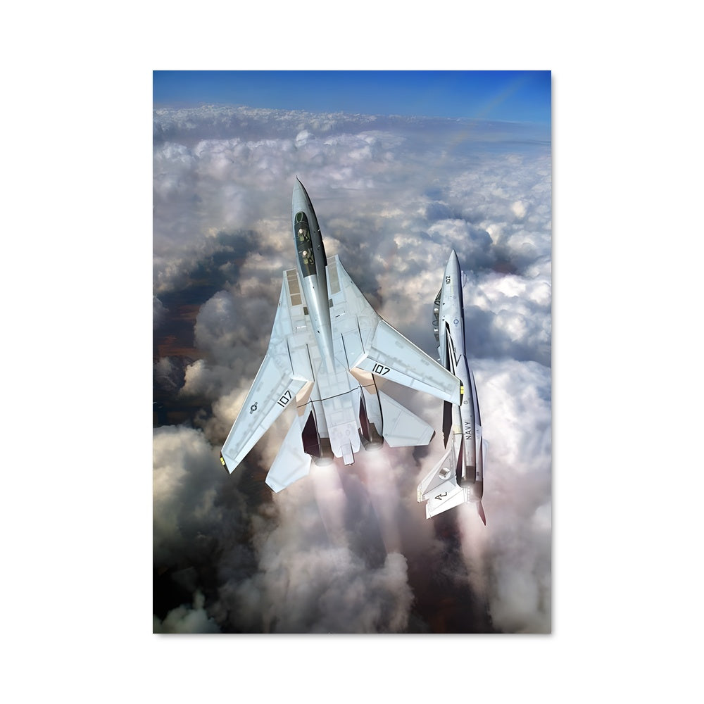 Poster F-14 tomcat 80837