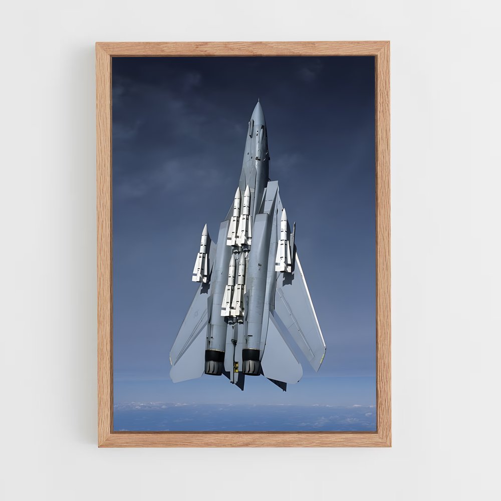 ap-f-14 tomcat-3 cadre Bois clair
