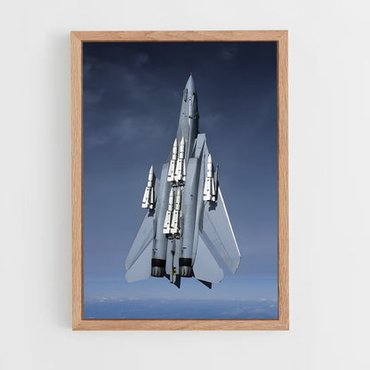 ap-f-14 tomcat-3 cadre Bois clair