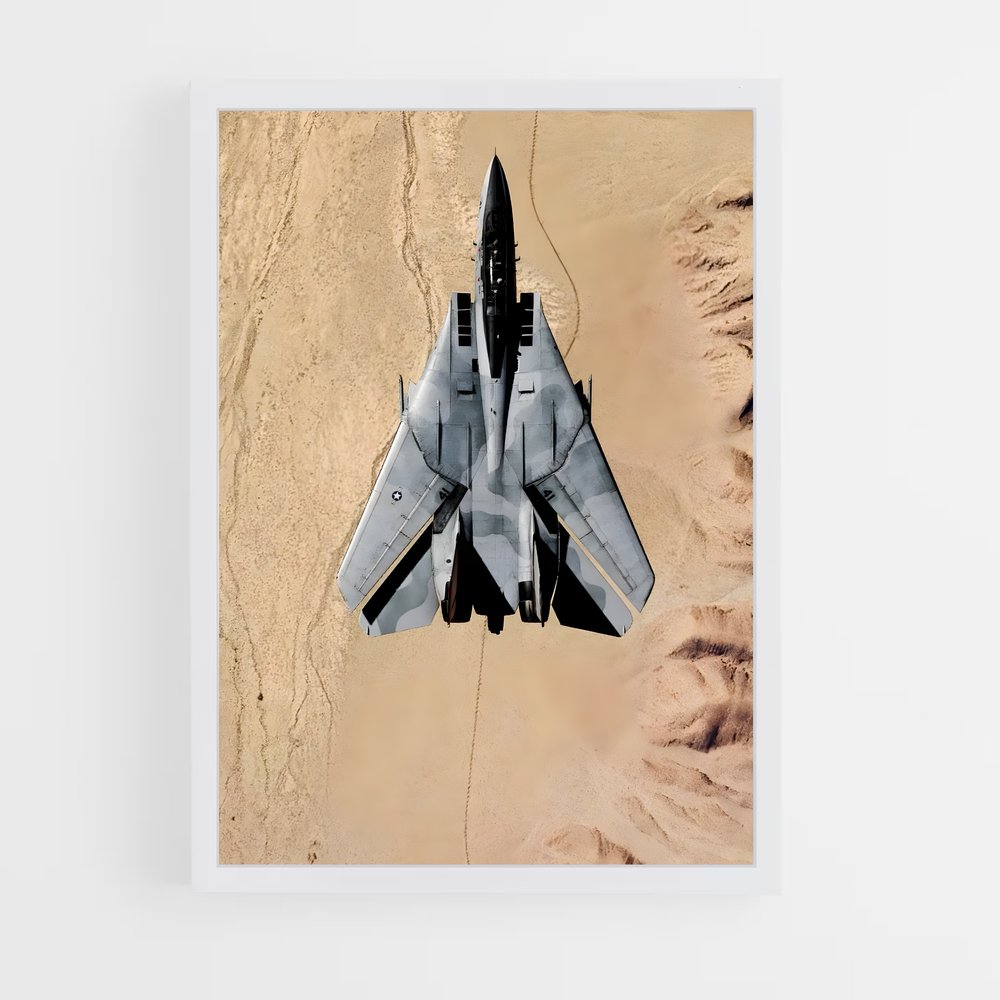 ap-f-14 tomcat-4 cadre Blanc