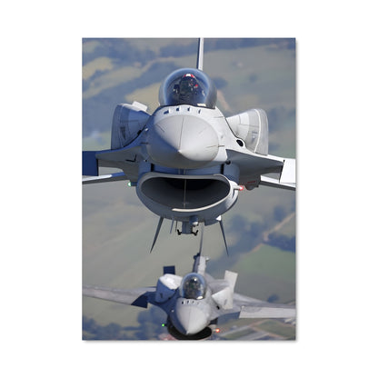 Poster Falcon de Combat