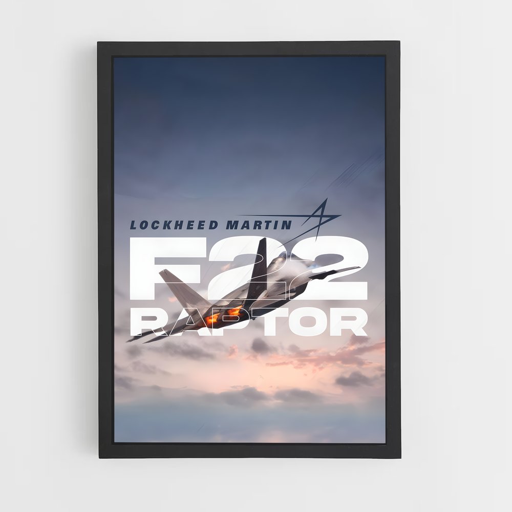 ap-f-22 raptor-8 cadre Noir