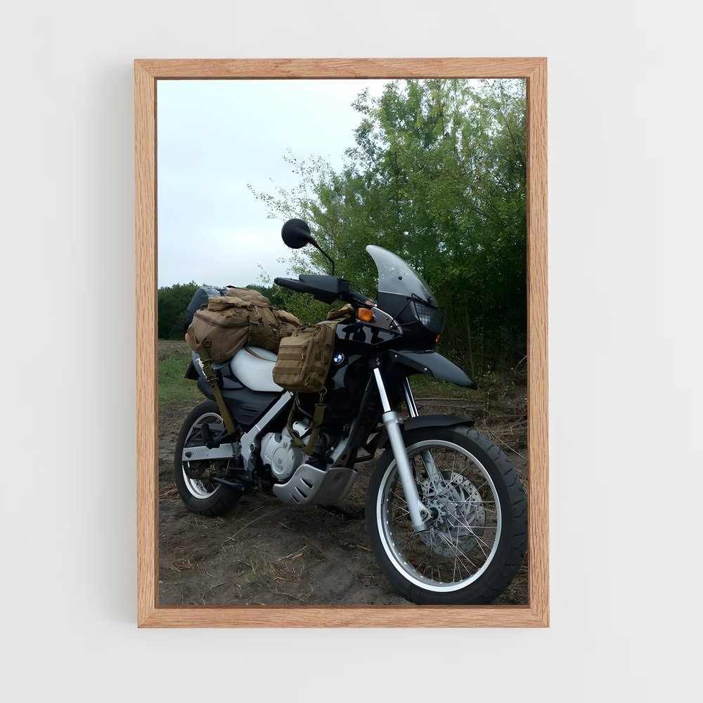 ap-f 650 gs-1 cadre Bois clair