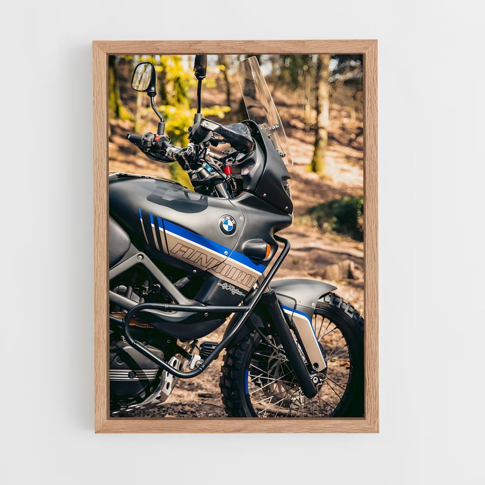 ap-f 650 gs-3 cadre Bois clair