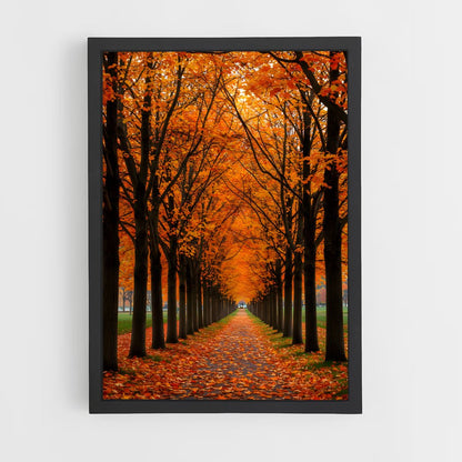 ap-fall colors-5 cadre Noir