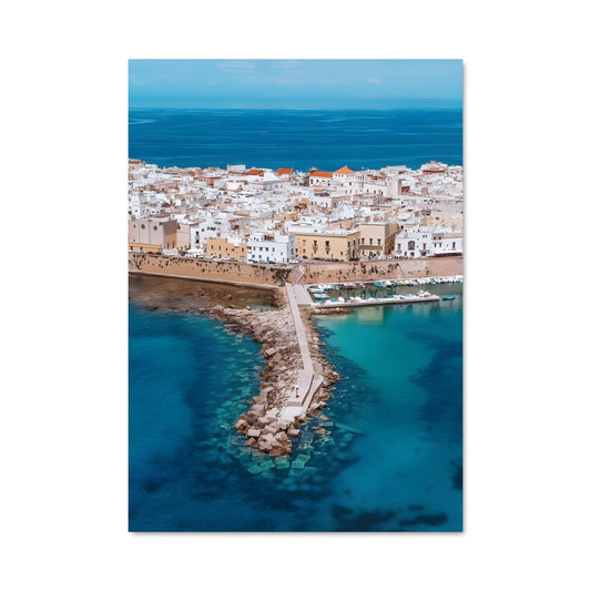 Poster Mizra Enchantée