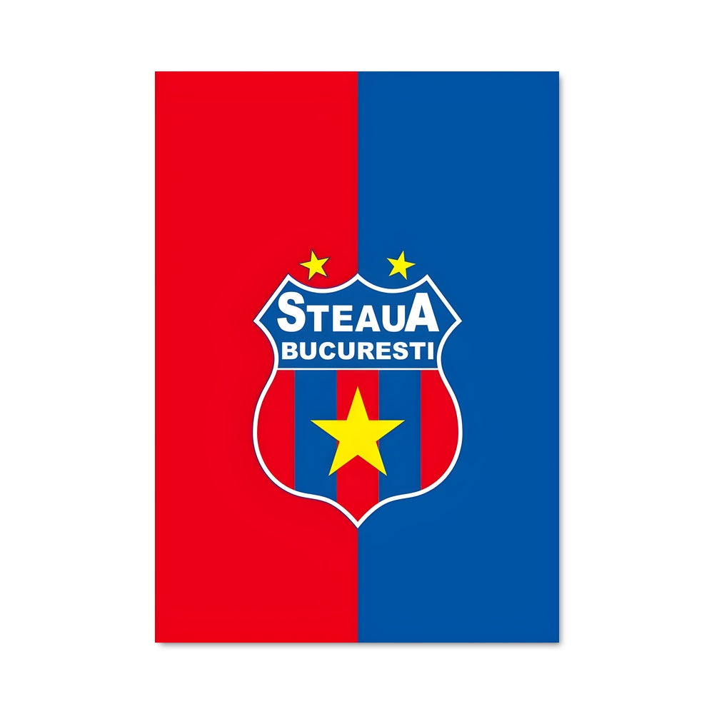 Poster Fcsb Spirit