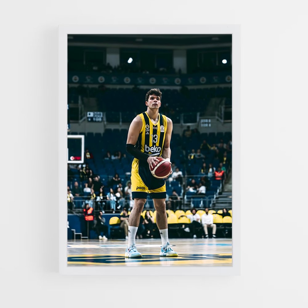 ap-fenerbahce basketball-7 cadre Blanc