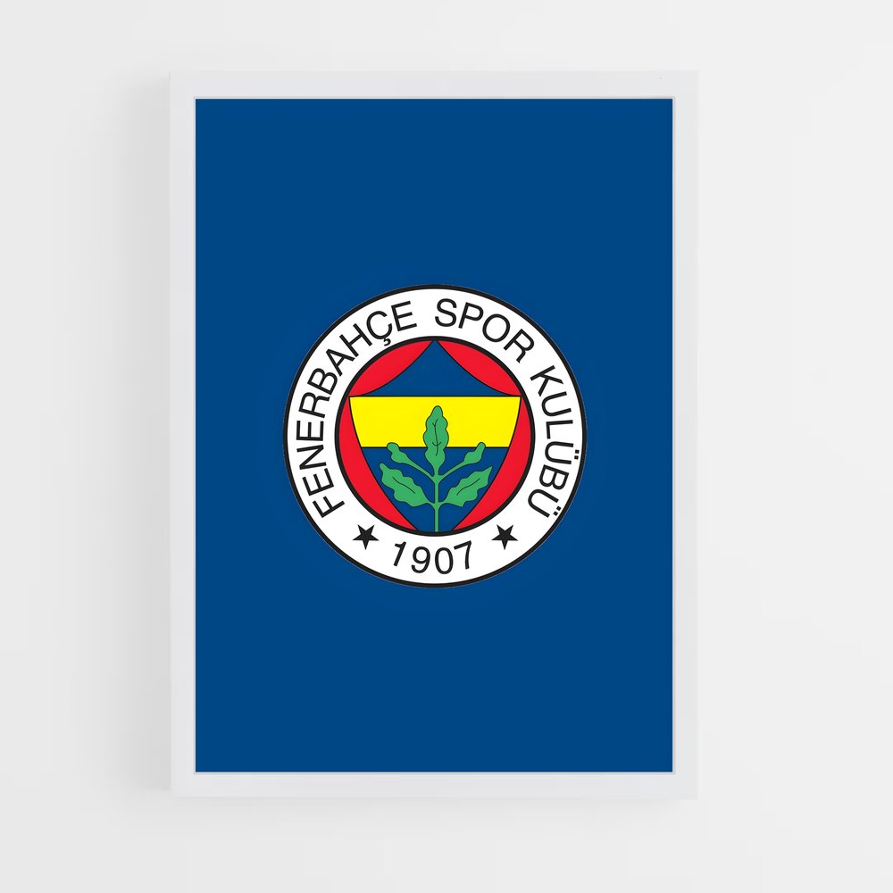 ap-fenerbahce sk-3 cadre Blanc