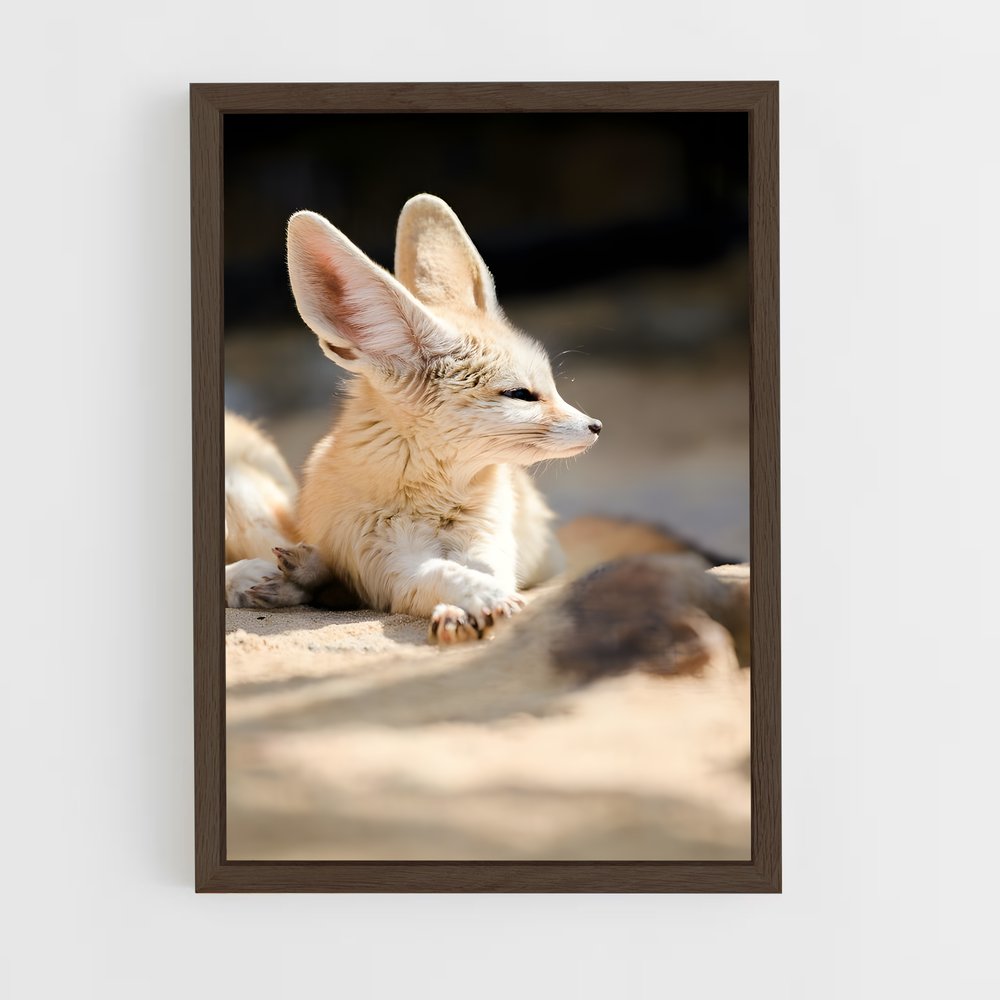 ap-fennec fox-2 cadre Bois foncé
