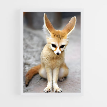 ap-fennec fox-4 cadre Blanc