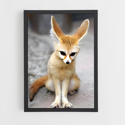 ap-fennec fox-4 cadre Noir