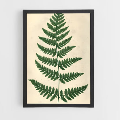 ap-ferns-5 cadre Noir