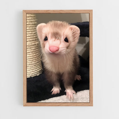 ap-ferret-1 cadre Bois clair