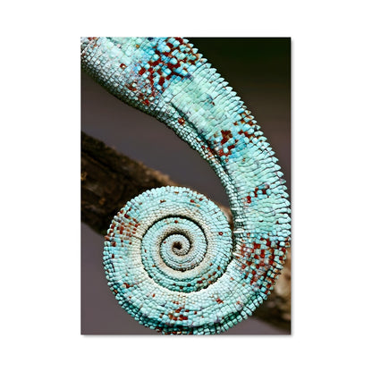 Poster Spirale Coraline