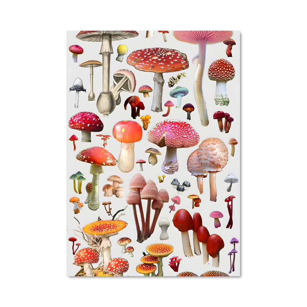 Poster Champignon Éclatant