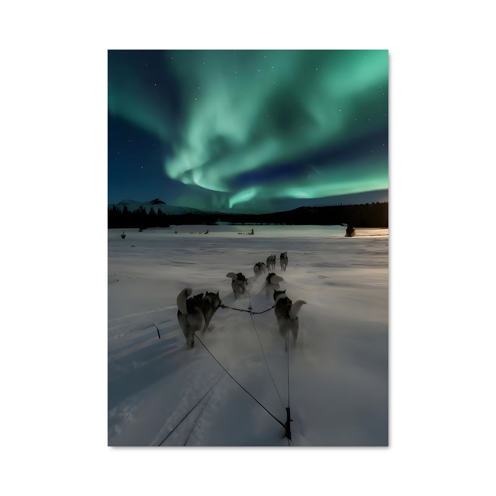 Poster Finland 90152