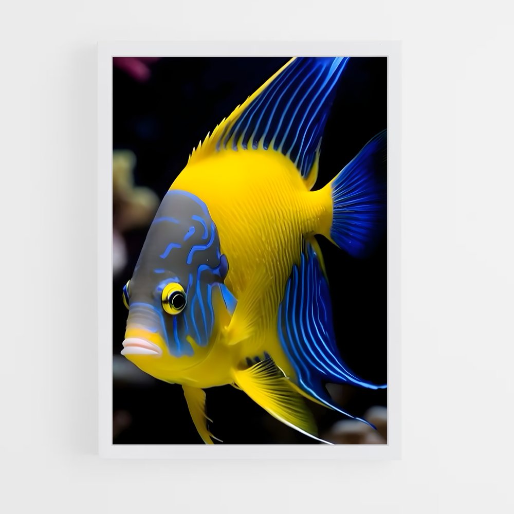 ap-fish-1 cadre Blanc