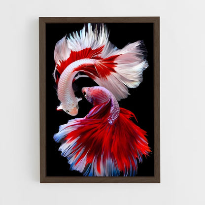 ap-fish-3 cadre Bois foncé