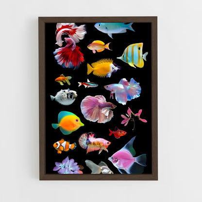 ap-fish-4 cadre Bois foncé