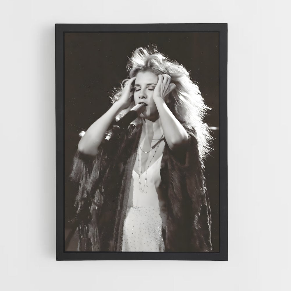 ap-fleetwood mac-2 cadre Noir