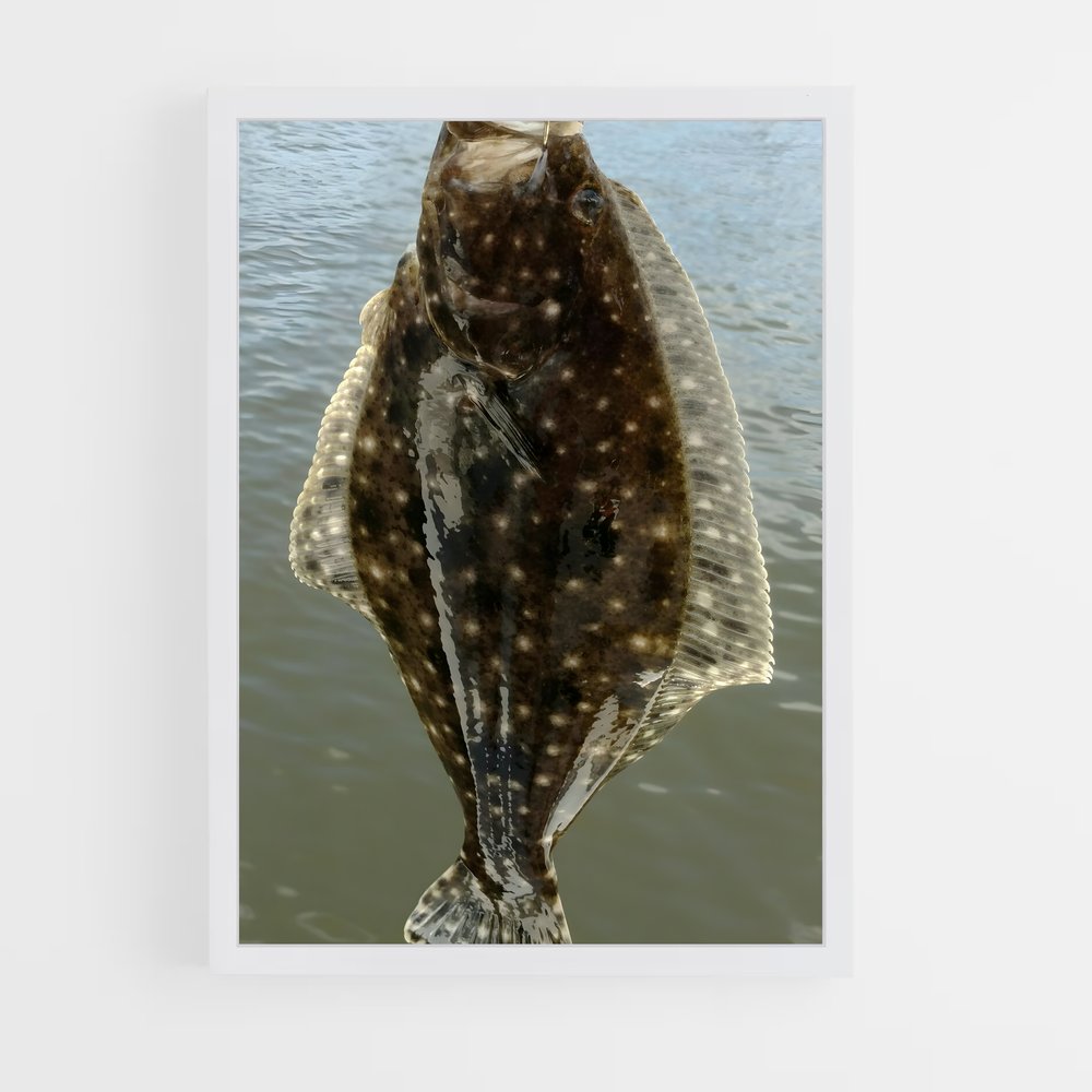 ap-flounder-4 cadre Blanc
