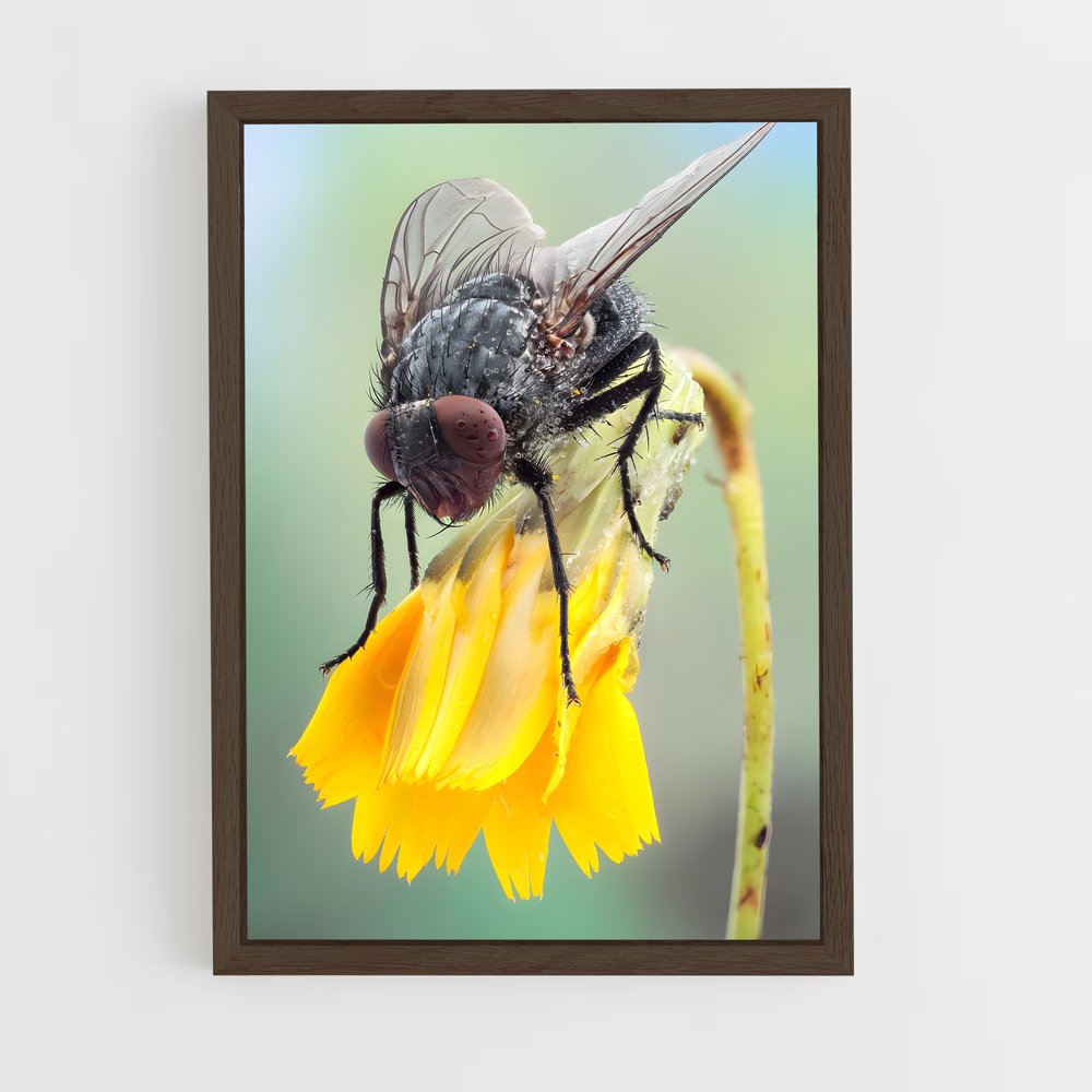 ap-fly-1 cadre Bois foncé