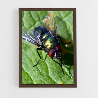 ap-fly-4 cadre Bois foncé
