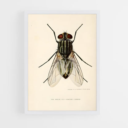 ap-fly-6 cadre Blanc