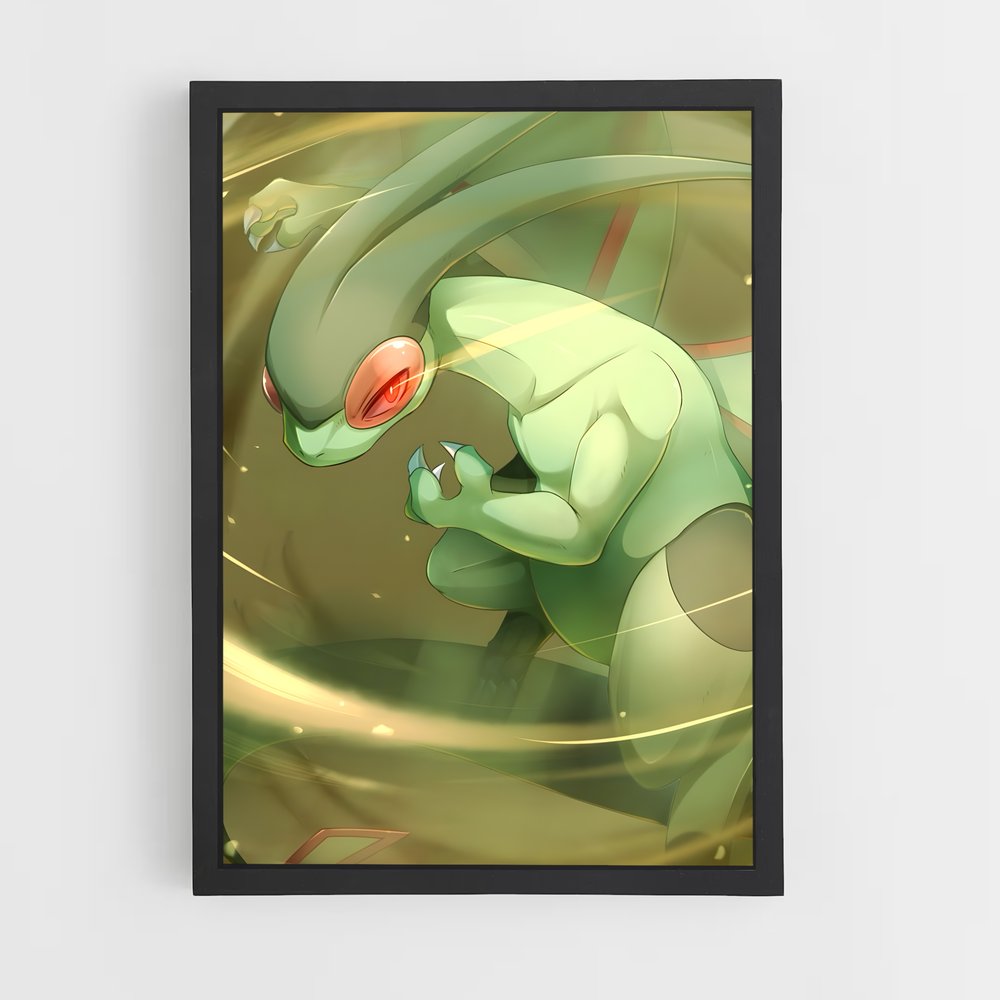 ap-flygon-3 cadre Noir