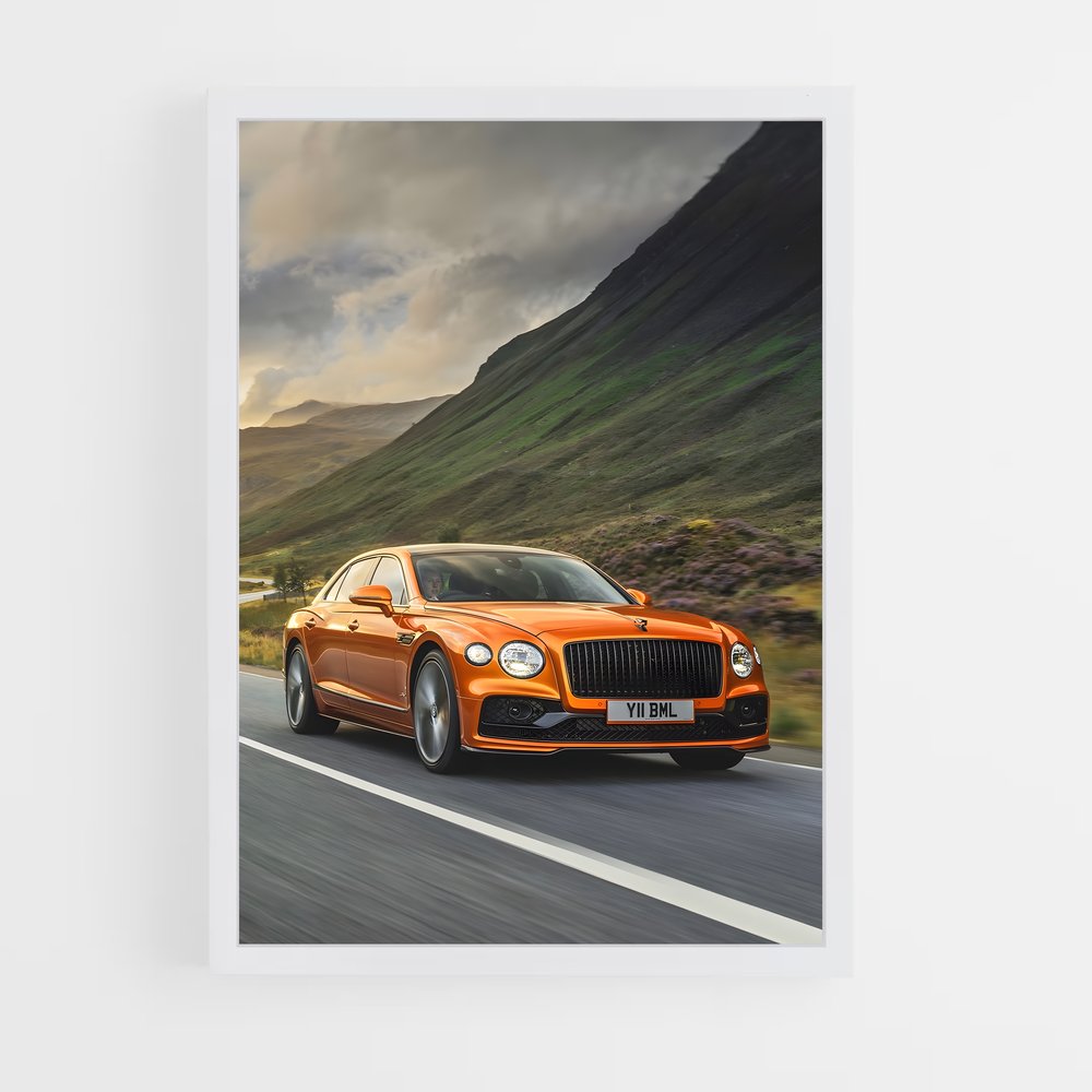 ap-flying spur speed-4 cadre Blanc