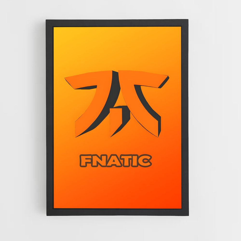 ap-fnatic-2 cadre Noir