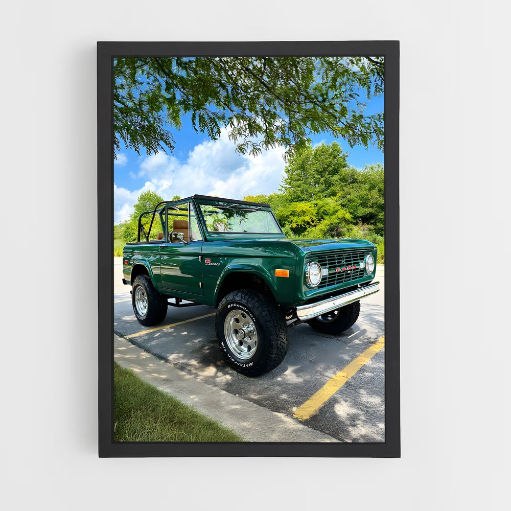 ap-ford bronco-2 cadre Noir