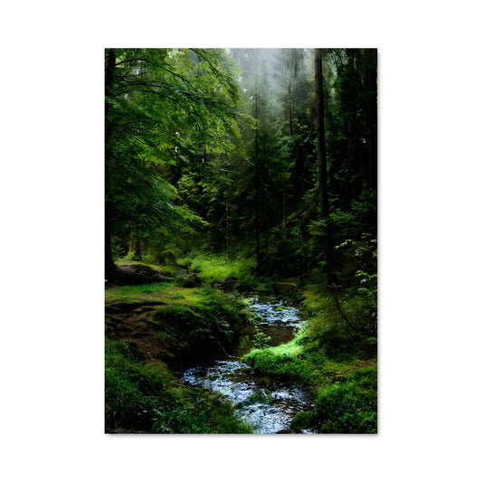 Poster Forest 94919