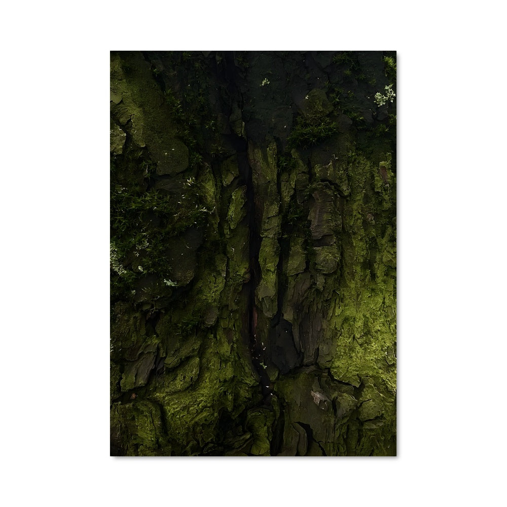 Poster Escalade Mystique