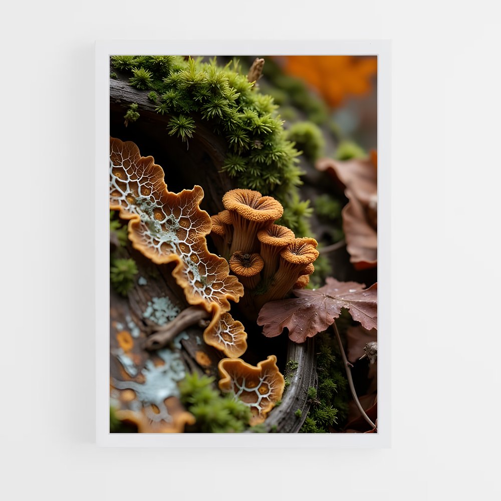 ap-forest moss-13 cadre Blanc