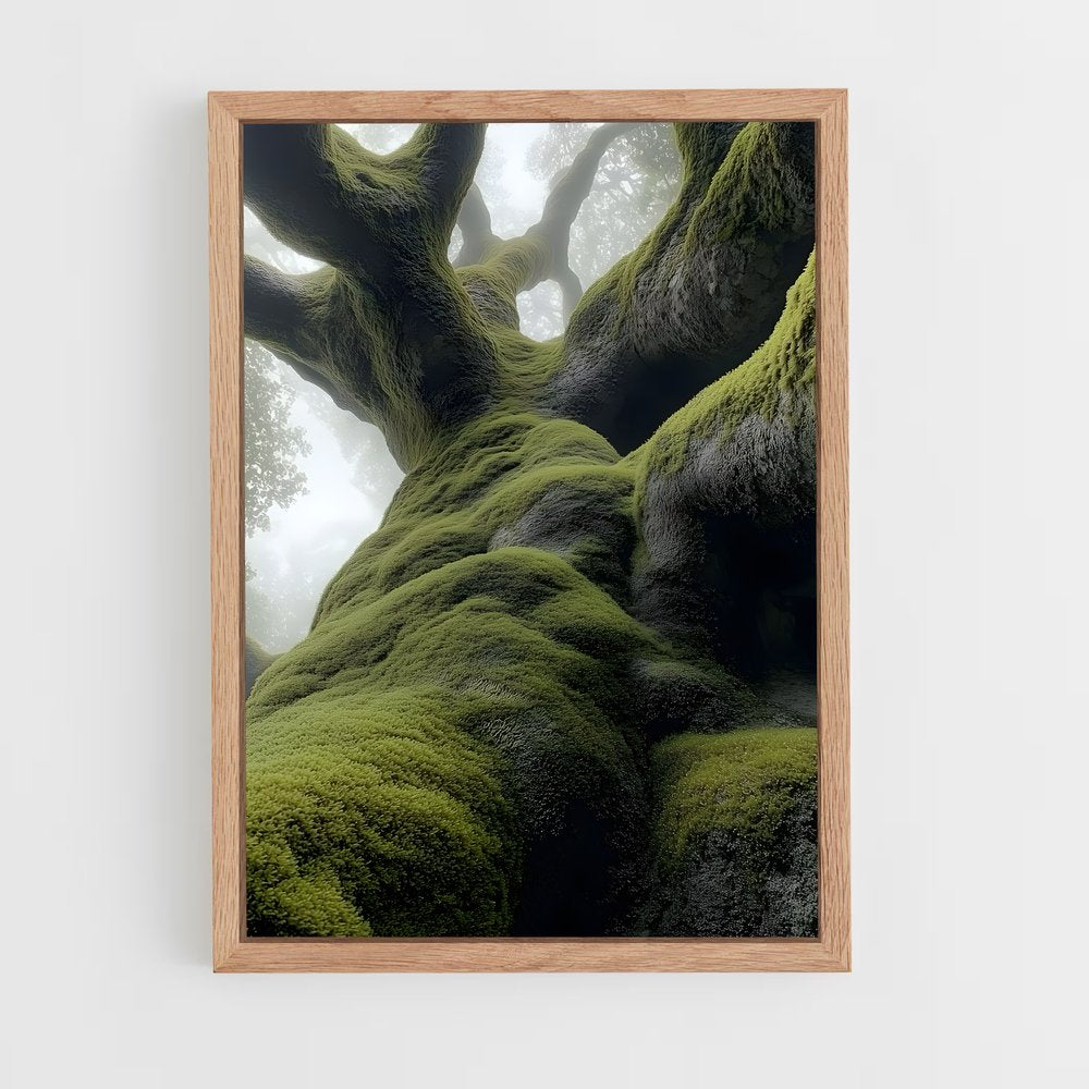 ap-forest moss-6 cadre Bois clair