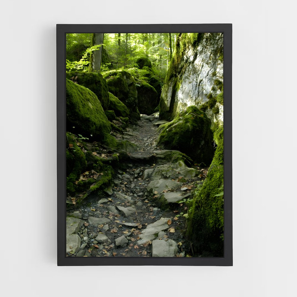 ap-forest moss-9 cadre Noir