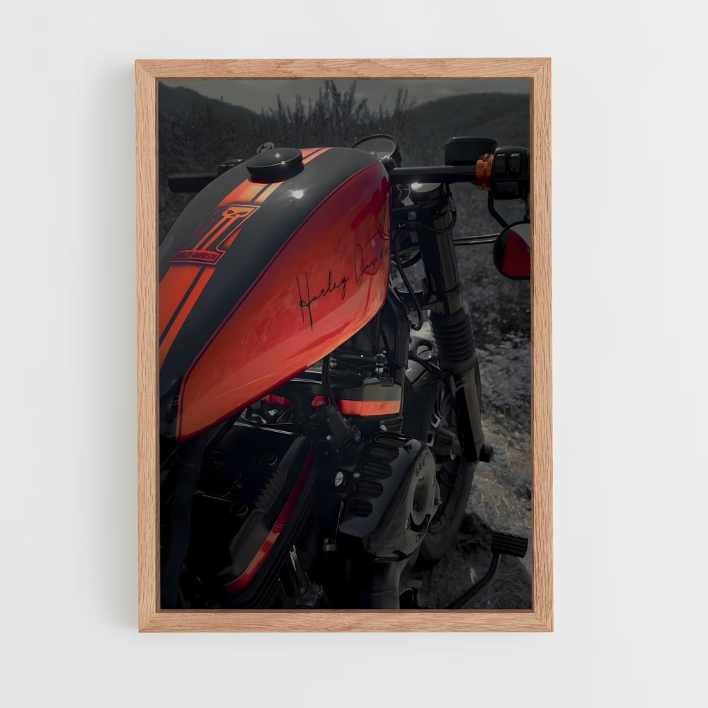 ap-forty-eight-5 cadre Bois clair