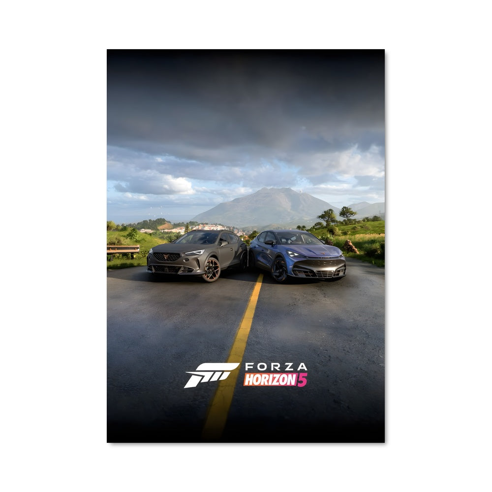 Poster Forza 42355