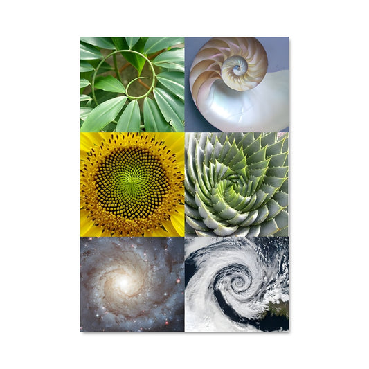 Poster Jardins Fractals