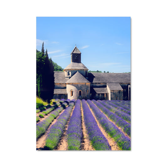 Poster Champs de Lavande