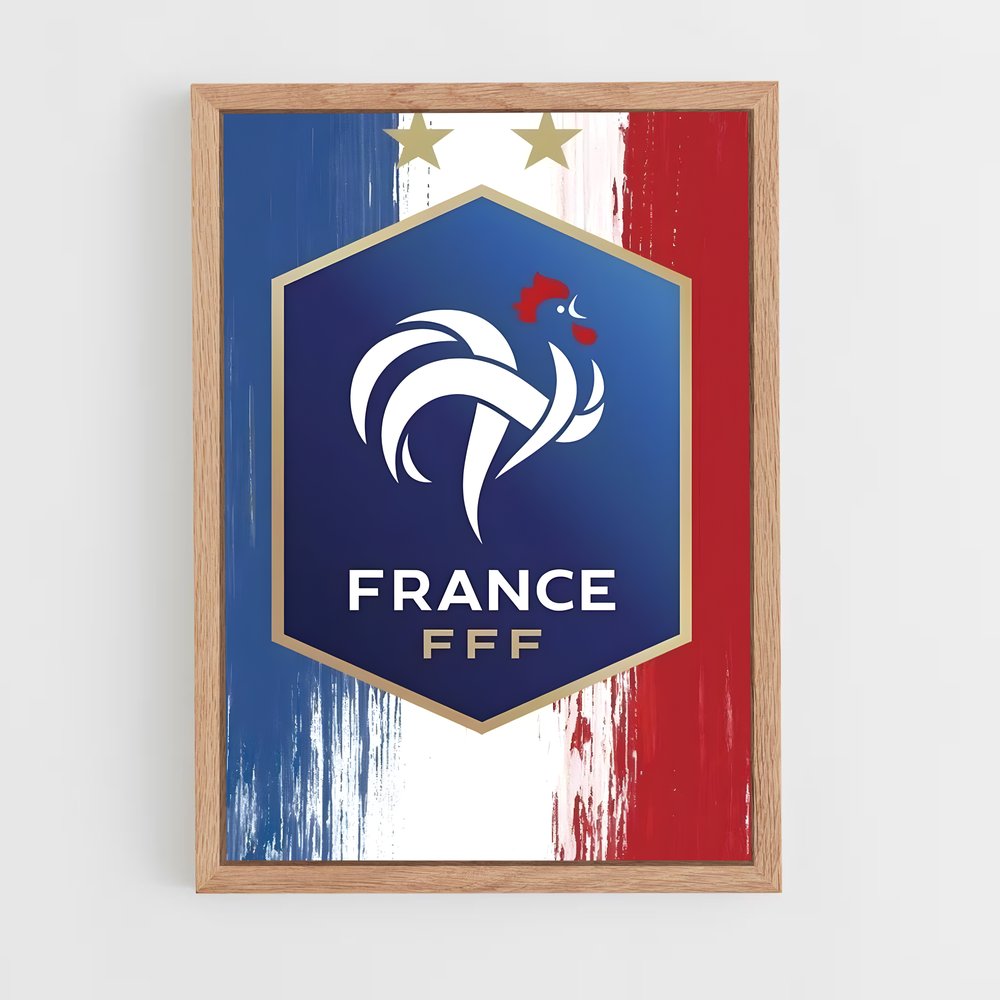 ap-france national football team-1 cadre Bois clair