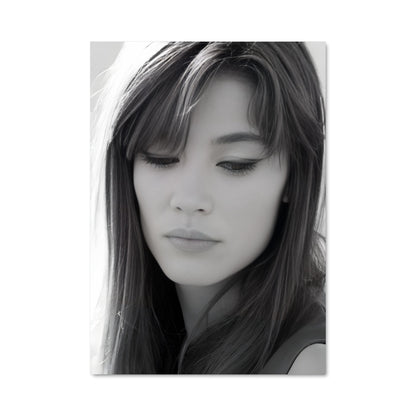 Poster Francoise hardy 51326