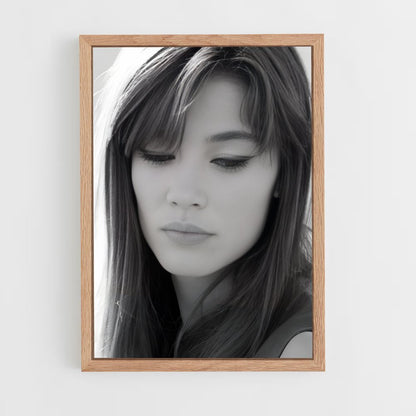 ap-francoise hardy-3 cadre Bois clair