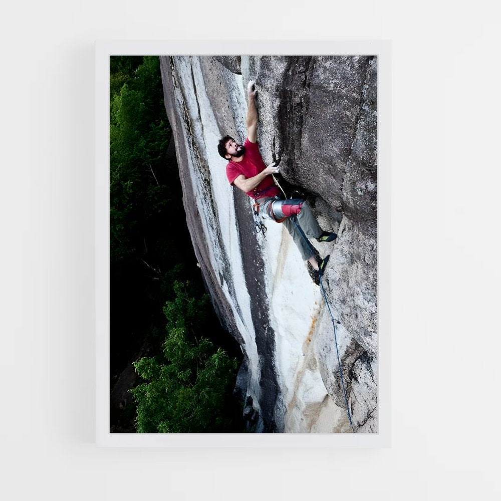ap-freerider el capitan-4 cadre Blanc