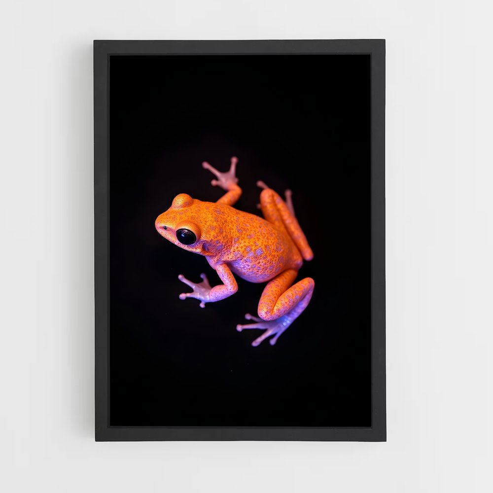 ap-frog-2 cadre Noir