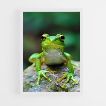 ap-frog-5 cadre Blanc