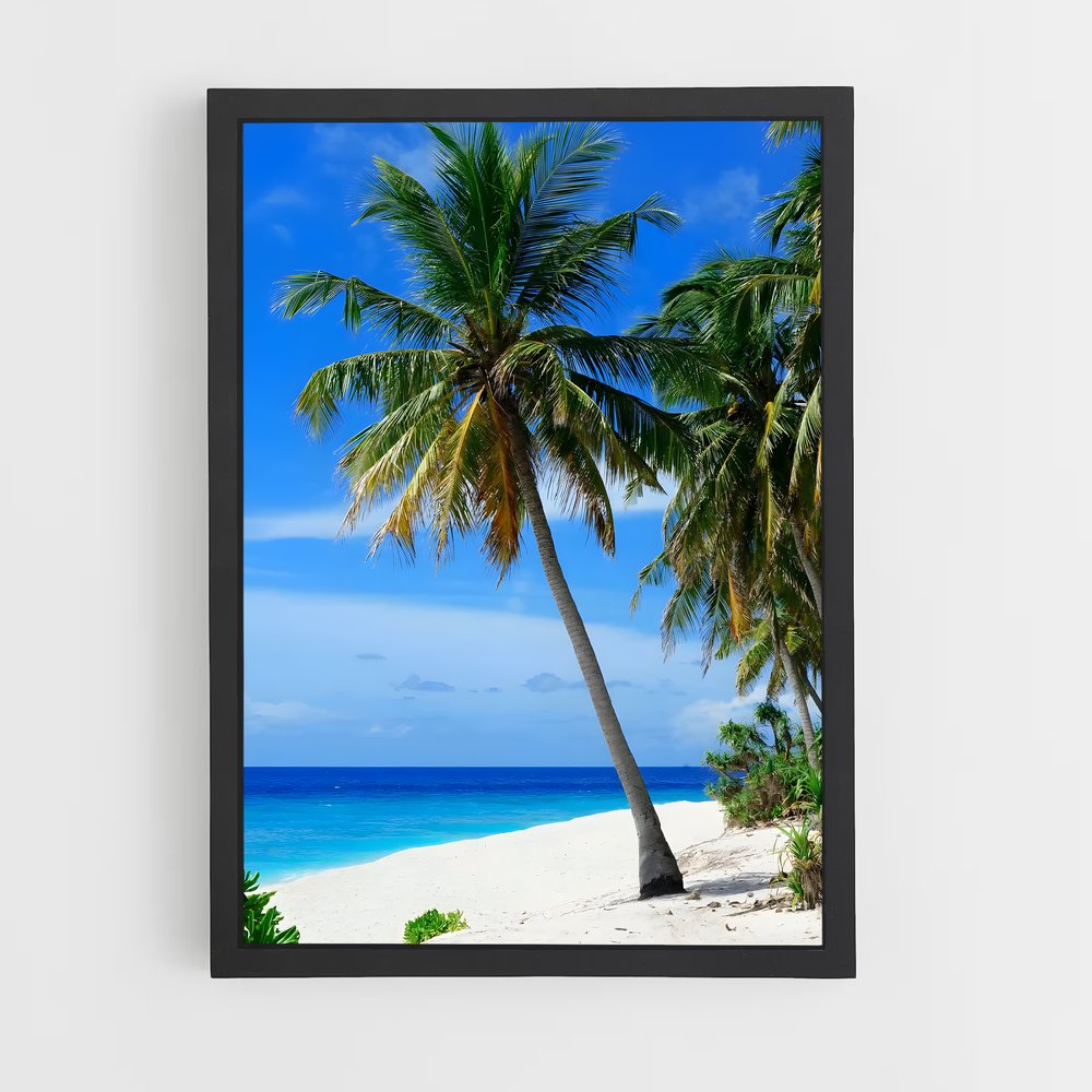 ap-fuvahmulah-3 cadre Noir
