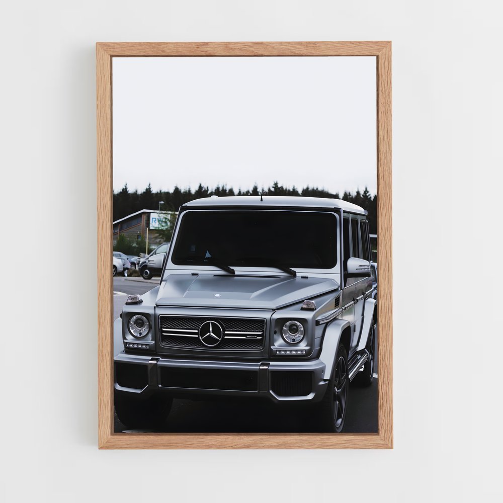 ap-g65 amg-4 cadre Bois clair